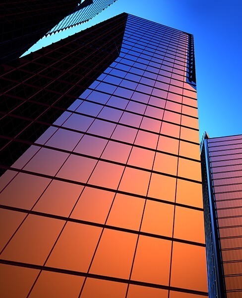 Organization Change Management